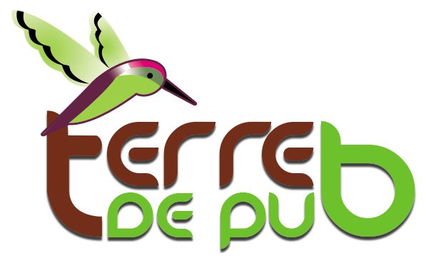 TERRE DE PUB